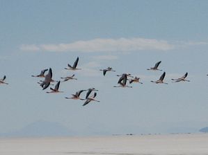 IMG_0480