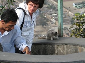 IMG_0121