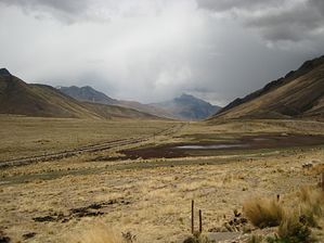 IMG_0131