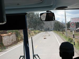 IMG_0137