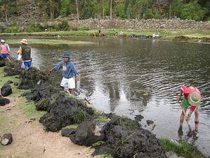 IMG_0153