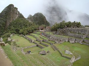DSC03544
