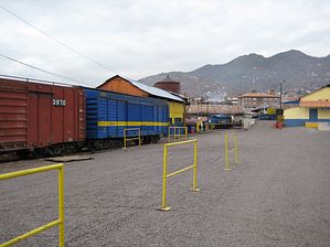 IMG_0197