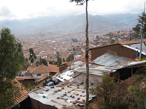 IMG_0223