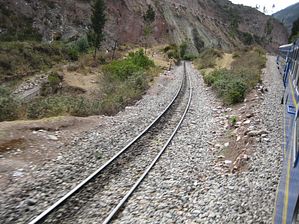IMG_0233