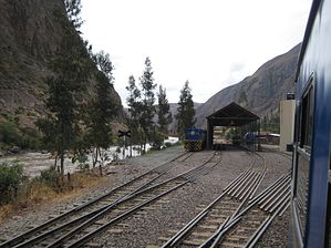 IMG_0239