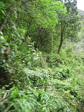 IMG_0249