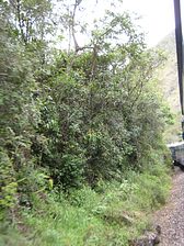 IMG_0250