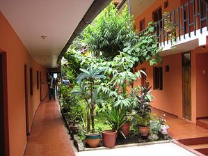 IMG_0258