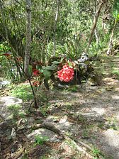 IMG_0275