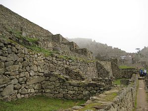 IMG_0294