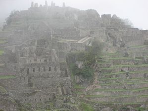 IMG_0295