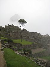 IMG_0296
