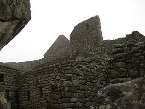 IMG_0303