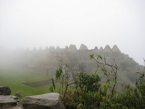 IMG_0311