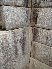 IMG_0318