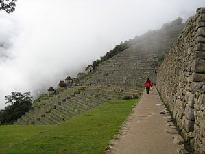IMG_0328