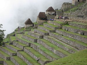 IMG_0329