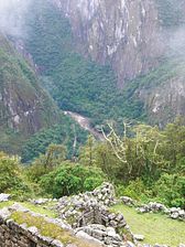 IMG_30~5