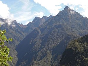 IMG_30~7