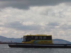 IMG_0031
