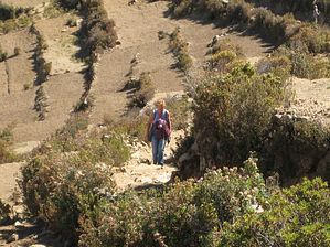 IMG_0052