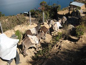 IMG_0056