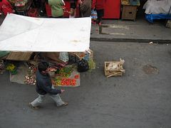 IMG_0572