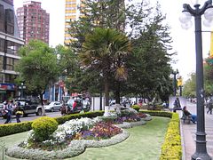 IMG_0622