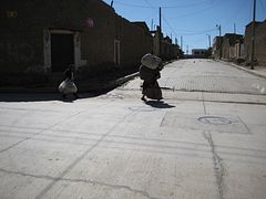 IMG_0631