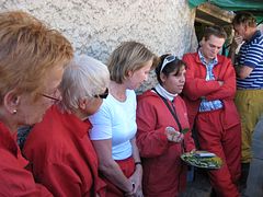 IMG_0286