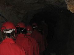 IMG_0328