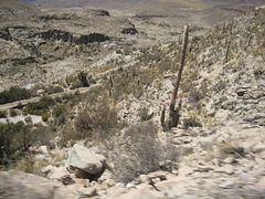 IMG_0349