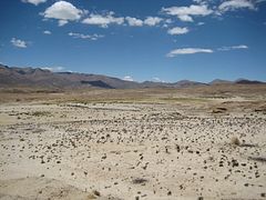 IMG_0366