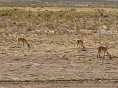 IMG_0375