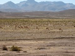 IMG_0376