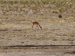 IMG_0377