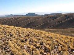 IMG_0382