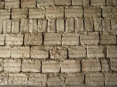 IMG_0428