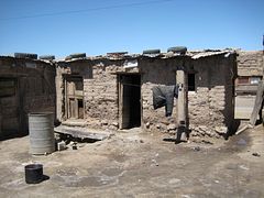 IMG_0431