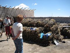 IMG_0432