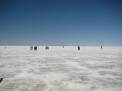 IMG_0446