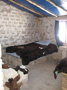 IMG_0458