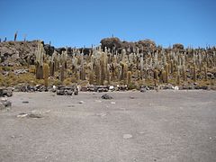 IMG_0461