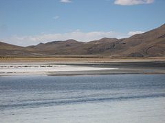 IMG_0475