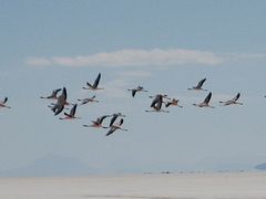 IMG_0480