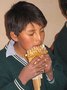 IMG_0501