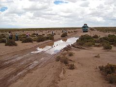 IMG_0532