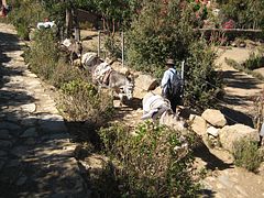 IMG_0055