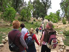 IMG_0065